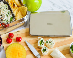 Ecozoi - Eco-friendly, 2 slim, Stainless Steel Ice Freezer Packs, Food-Safe Gel, BPA-free, eco cooling pair