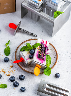 Ecozoi - Eco-friendly, 6 Mini Square Stainless Steel Popsicle Molds, 6 Reusable Stainless Steel Sticks, 6 Silicone Gaskets