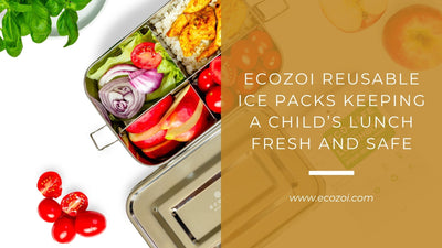 Kid-Safe & Fun: Why Ecozoi Ice Packs for Lunch Boxes Are a Smart Choice