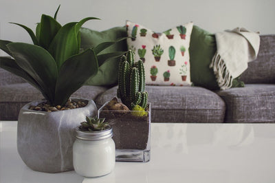 Eco-friendly home staging tips