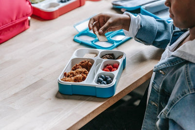 Reasons to Avoid Plastic Lunch Boxes and Choose Sustainable Options Instead