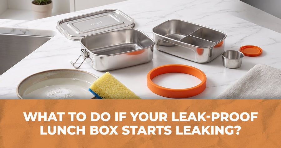 What to Do If Your Leak-Proof Lunch Box Starts Leaking? | Ecozoi