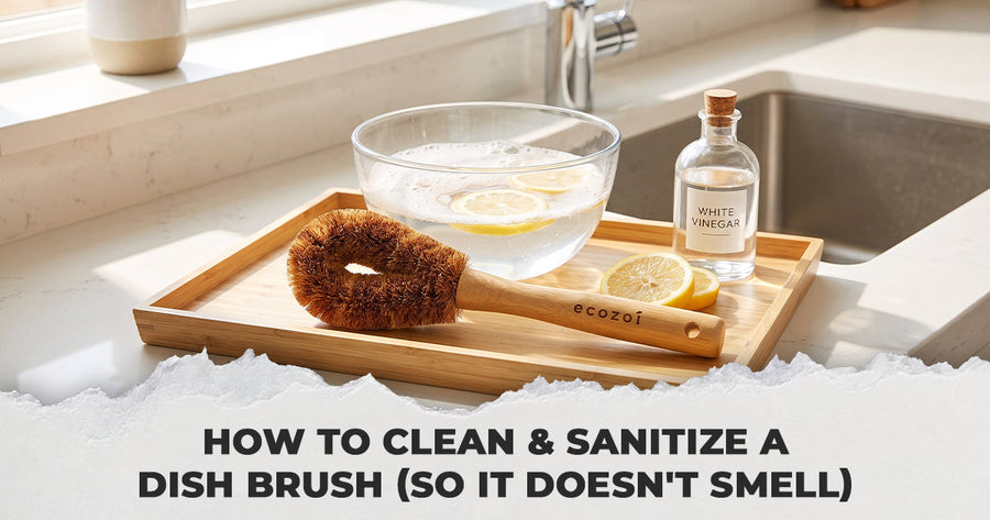 How to Clean & Sanitize a Dish Brush (So It Doesn't Smell) | Ecozoi