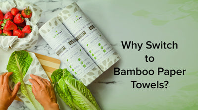 5 Reasons Why Bamboo Paper Towels Beat Regular Paper Towels