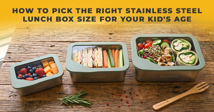 How to Pick the Right Stainless Steel Lunch Box Size for Your Kid's Age | Ecozoi