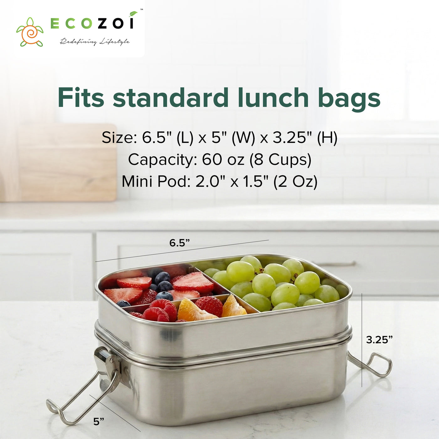 Ecozoi 2-Tier Stainless Steel Bento Lunch Box | Leak-Proof