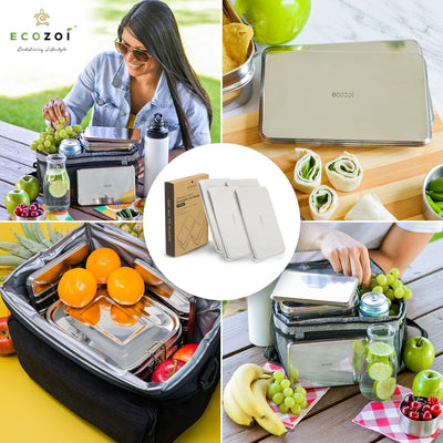 Stainless Steel Freezer PACKS FOR LUNCH Boxes and Lunch Bags, 2 Pack