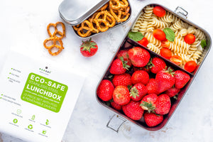 Ecozoi - Eco-friendly, Extra-long 1-tier stainless steel leak-proof lunch box, red silicone seal, 50 oz, removable divider.