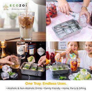 Ecozoi Stainless Steel Ice Trays for Freezer, 12 Large Cubes with Easy Release, 2 Pack