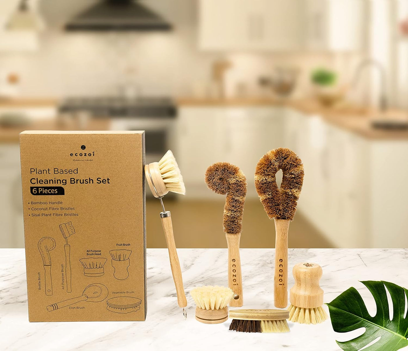 ecozoi Dish Brush Set, 6 Piece Kitchen Scrub Brush Set, Plant Based Vegetable Brush Set
