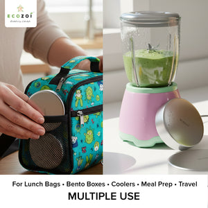 Stainless Steel Ice Packs For Lunch Bags and Coolers, 2 Pack Round Shape