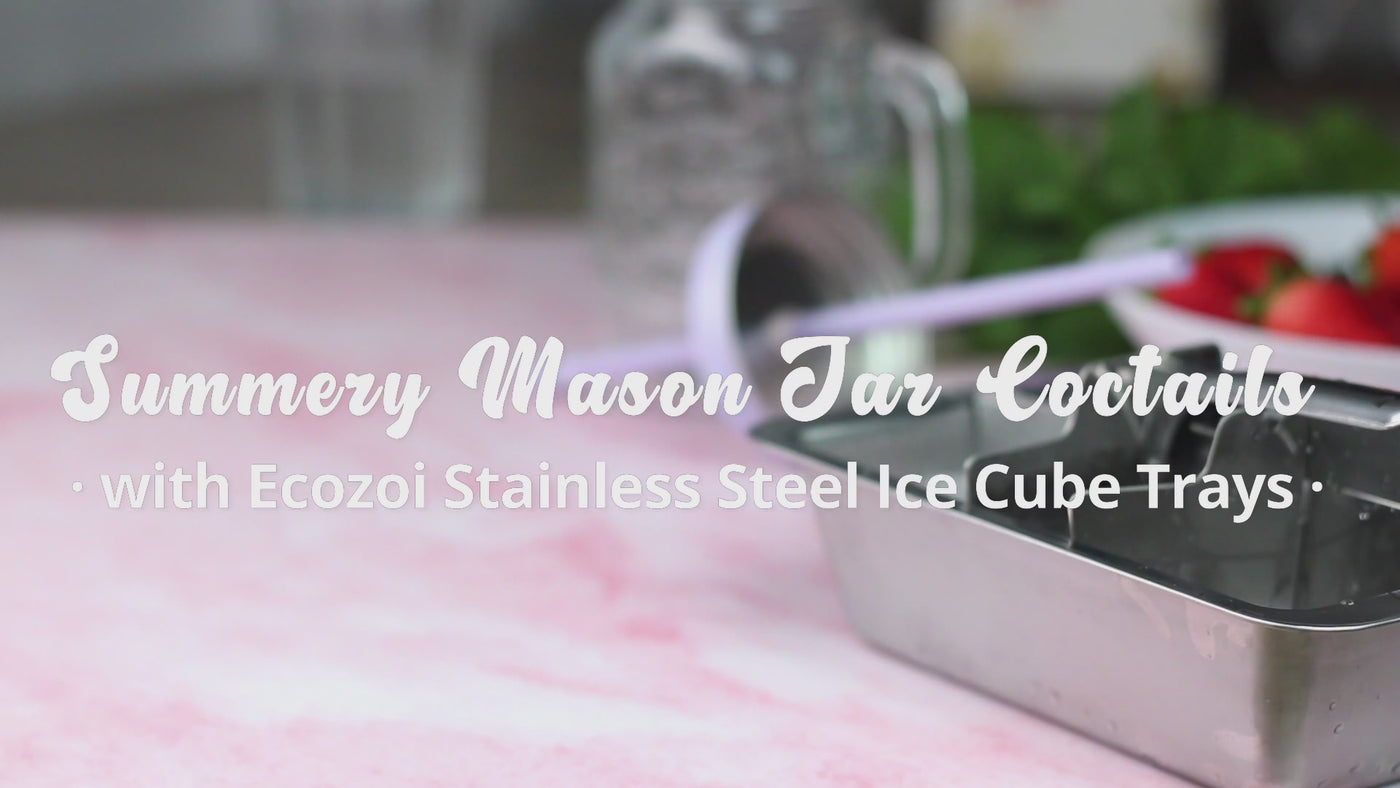 Ecozoi Stainless Steel Ice Trays for Freezer, 12 Large Cubes with Easy Release, 2 Pack