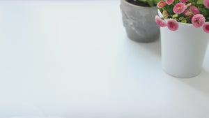 Ecozoi Stackable Lunch Box for Adult, 4 Tier Round with Spork, Stainless Steel, 55 Oz