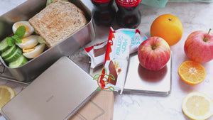 Ecozoi Stainless Steel Ice Packs for Lunch Boxes, Freezer Packs, Reusable, 2 Pack