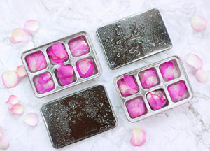 Ecozoi - Eco-friendly, 2 Stainless Steel Ice Cube Trays, 6 large cubes per tray, Dishwasher safe, Plastic-Free, BPA-free