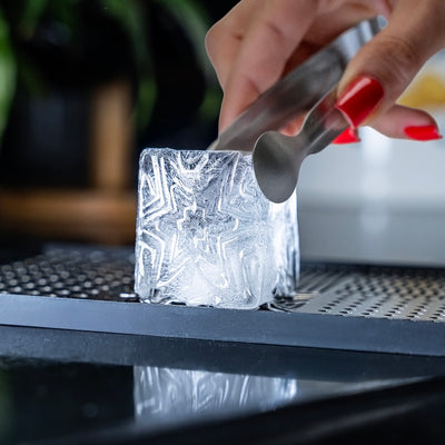 Stainless Steel Ice Cube Design Stamp Tray, with 8 Silicone Ice Cube Tray and Tongs