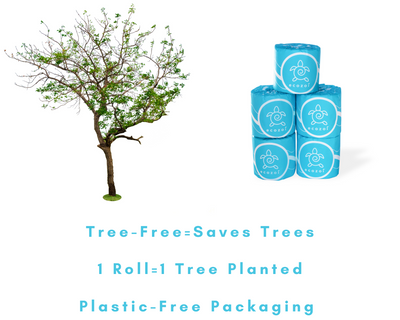 Bamboo Toilet Paper Rolls, Extra Soft, Tree-Free, 24 Pack freeshipping - ecozoi