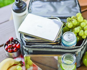 Ecozoi - 4 slim stainless-steel ice packs for lunch boxes, reusable, leak-proof, eco cooling pair, food-safe gel