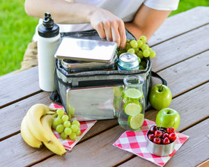 Ecozoi - 4 slim stainless-steel ice packs for lunch boxes, reusable, leak-proof, eco cooling pair, food-safe gel