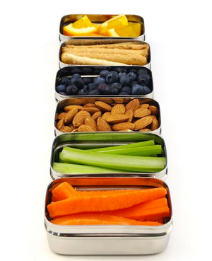 Ecozoi Mini Containers,Stainless Steel Lunch Box, Set of 2 - for Ecozoi Lunch Boxes freeshipping