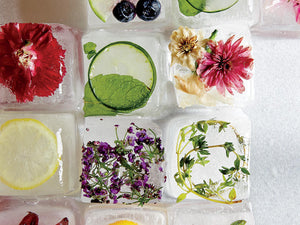 Ecozoi - Eco-friendly, 2 Stainless Steel Ice Cube Trays, 12 large cubes, Dishwasher safe, Plastic-Free, BPA-free